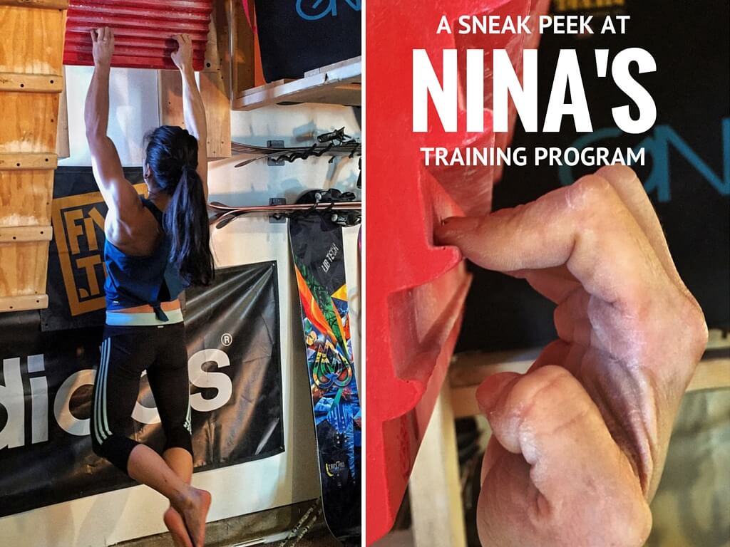 nina williams training
